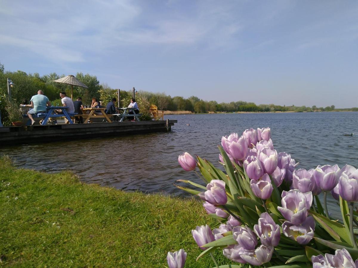 Het Zeepaartje, Knus En Gezellig Villa Noordwijkerhout Eksteriør bilde
