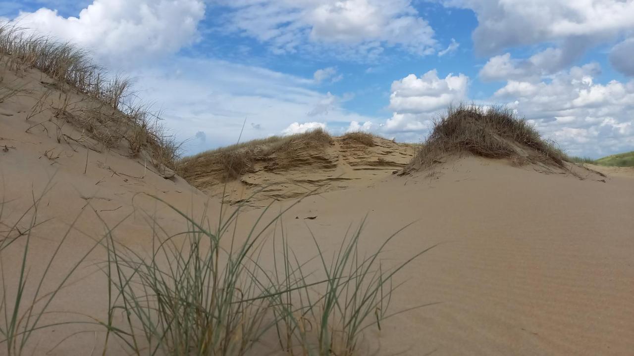 Het Zeepaartje, Knus En Gezellig Villa Noordwijkerhout Eksteriør bilde