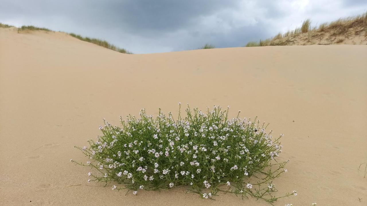 Het Zeepaartje, Knus En Gezellig Villa Noordwijkerhout Eksteriør bilde